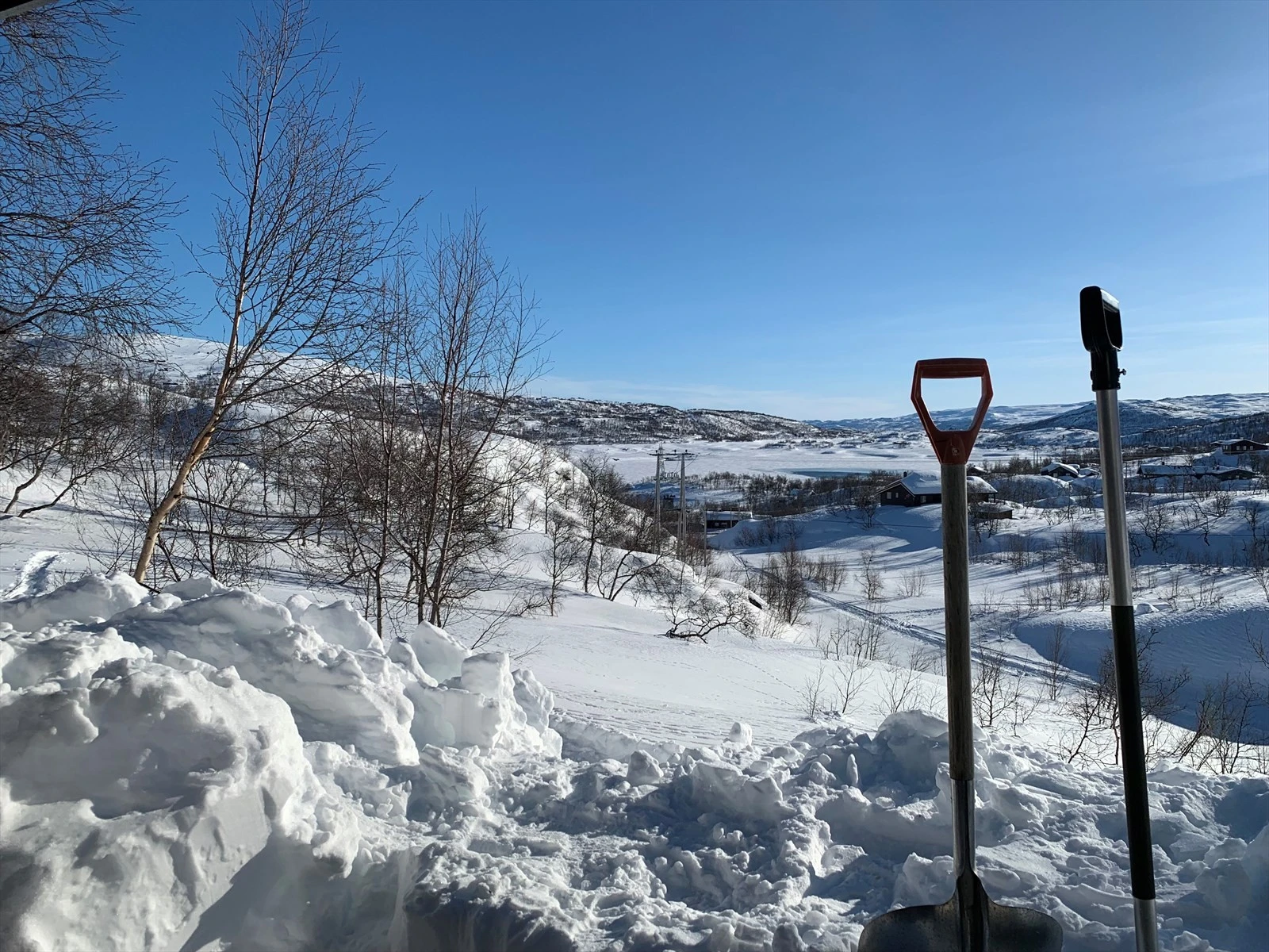 Selgers foto Galleribilde