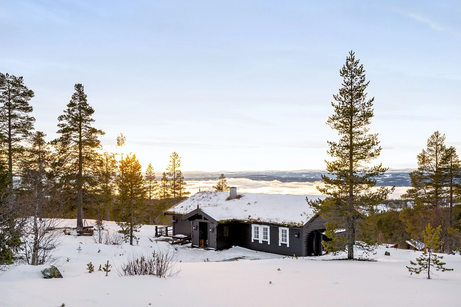 Vinterbilde. Galleribilde