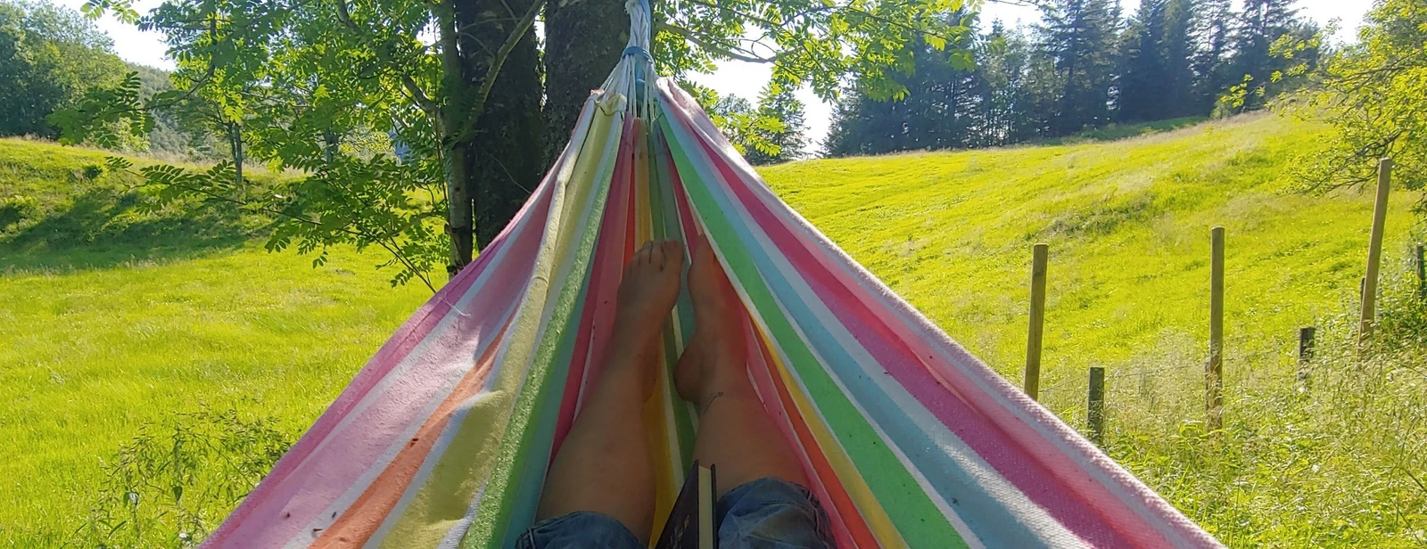 Stillheten bare avbrutt av fuglekvitter og sildrende bekk. Galleribilde