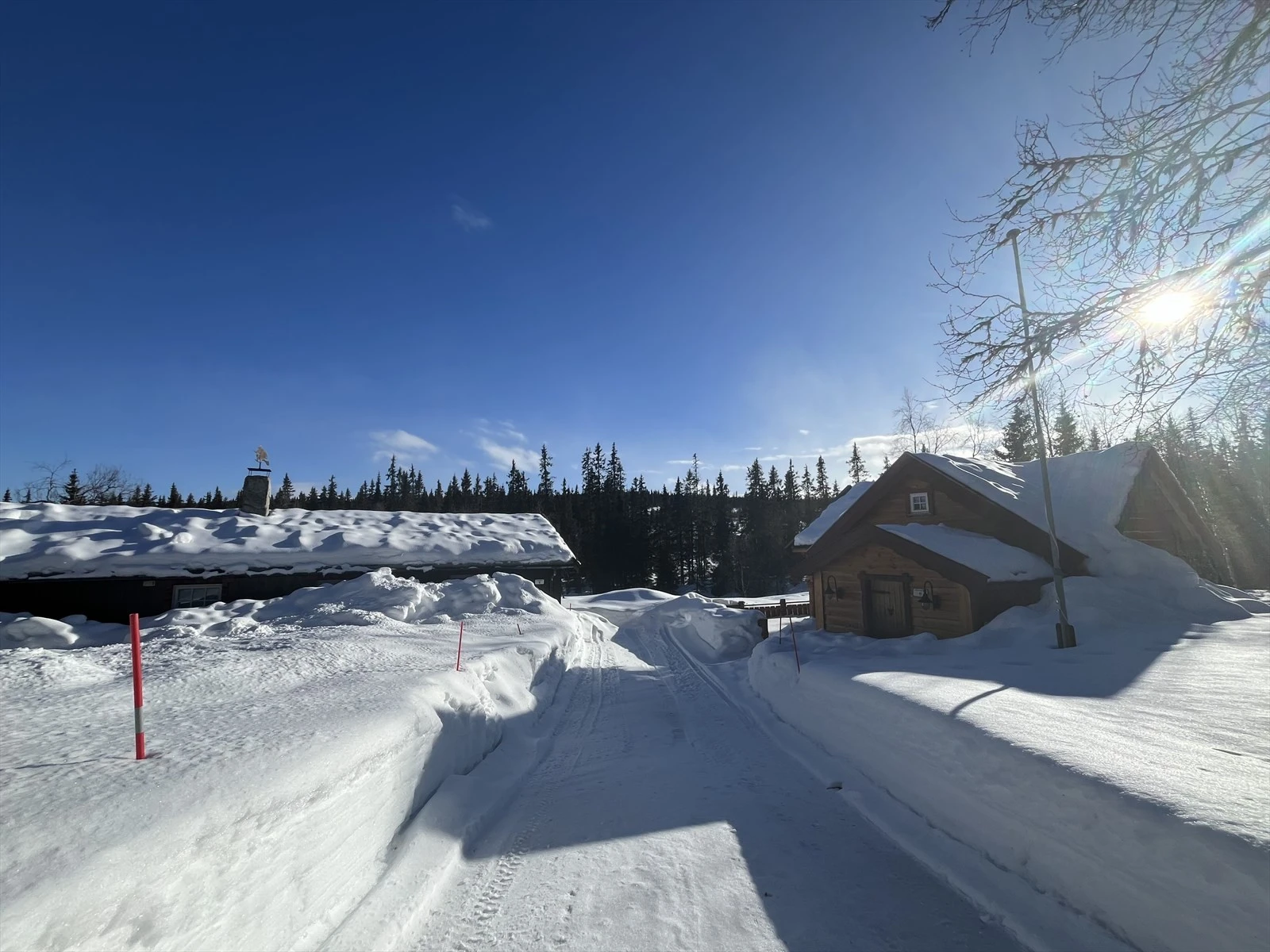 Selgers eget vinterbilde. Galleribilde