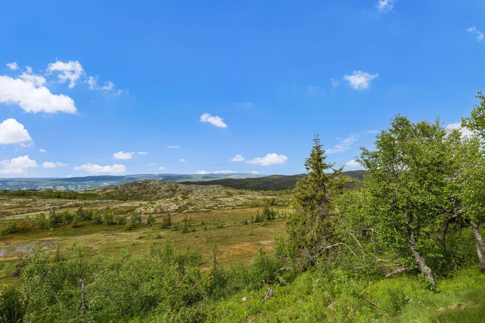 Fra Nordfjellstølen er det kort vei over til Aurdalsåsen, Fjellsbygda og Ølslykkja, som kan by på fine områder for blåbær og multe, samt gode fiskemuligheter i flere fjellvann. Galleribilde