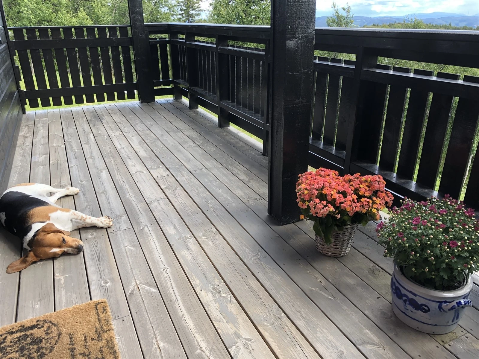 Her kan både to- og firbente nyte livet i solveggen.(Selgers egne bilder) Galleribilde