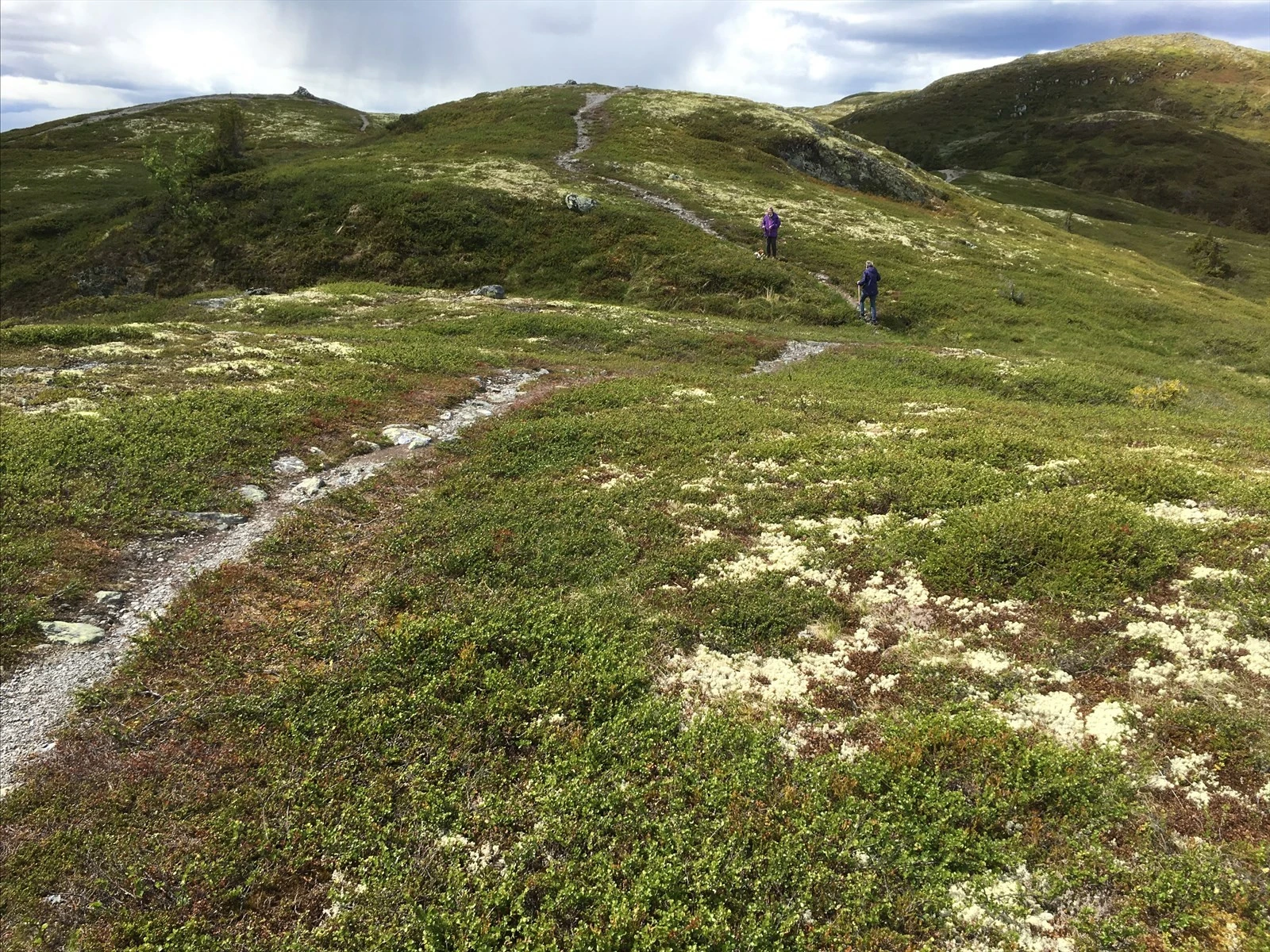 Her starter turen rett utenfor døra. Bjørgovarden (1.138 moh), er et populært turmål året rundt, hvor en kan nyte vid utsikt utover store fjellområder, også i Hallingdal og Jotunheimen. (Selgers egne bilder) Galleribilde