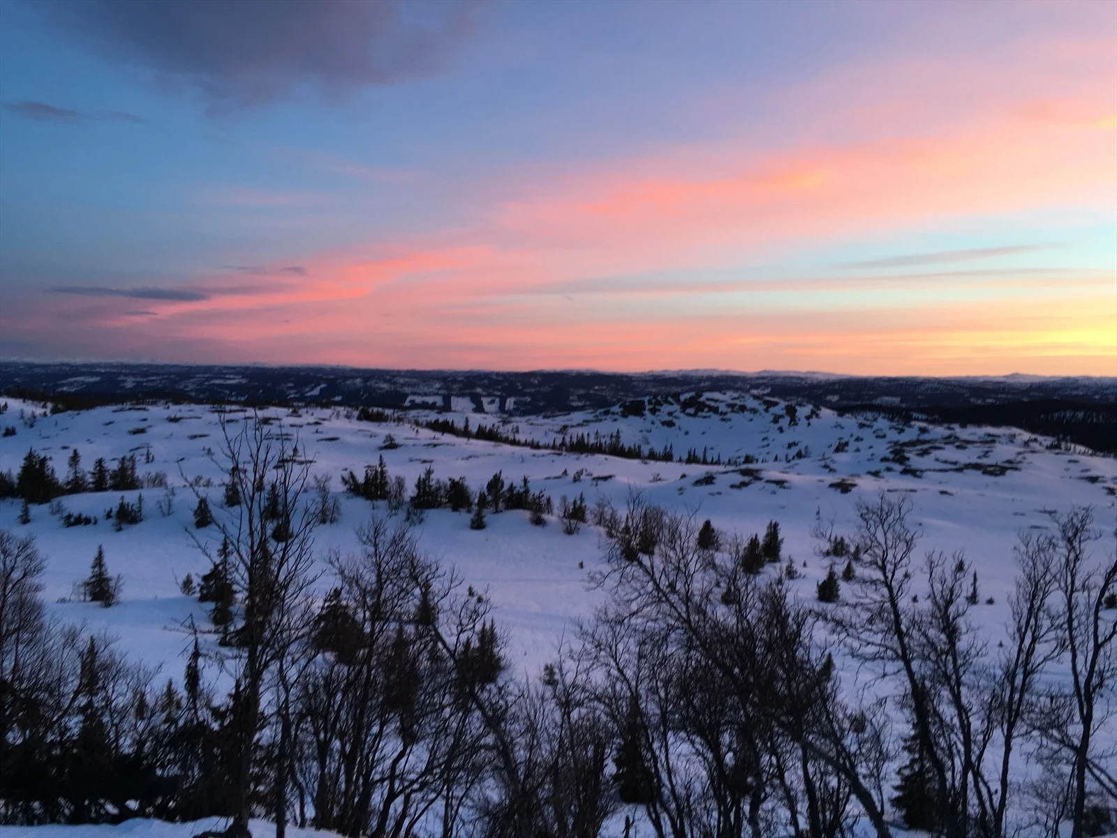 Vinterstid er det bare å spenne på seg skiene, og gå rett inn i en oppkjørt skiløype, ca. 50 m fra hytta. Denne er en del av et stort løypenett, hvor en følge oppkjørte løyper fra Bjørgovarden, til Danebu og helt til Beitostølen.(Selgers egne bilder) Galleribilde