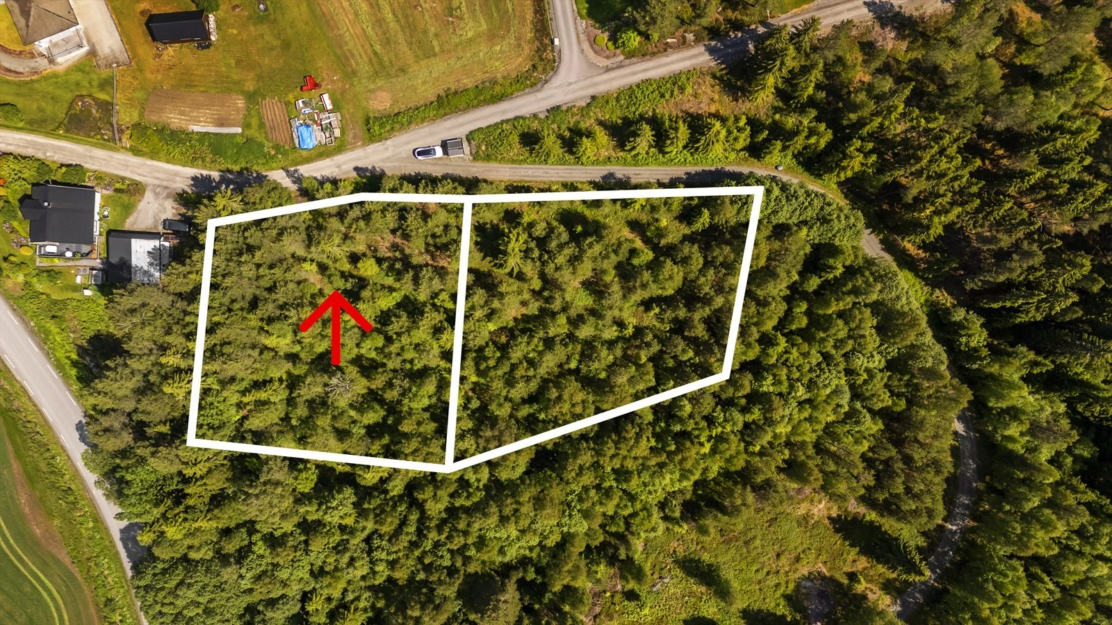 Velkommen til Liervegen! Galleribilde