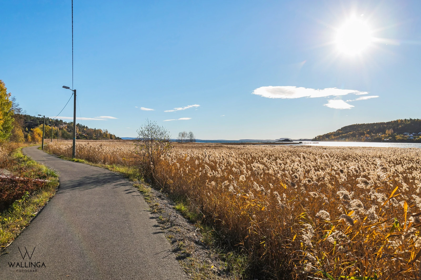 Nærområdet, kyststi Galleribilde