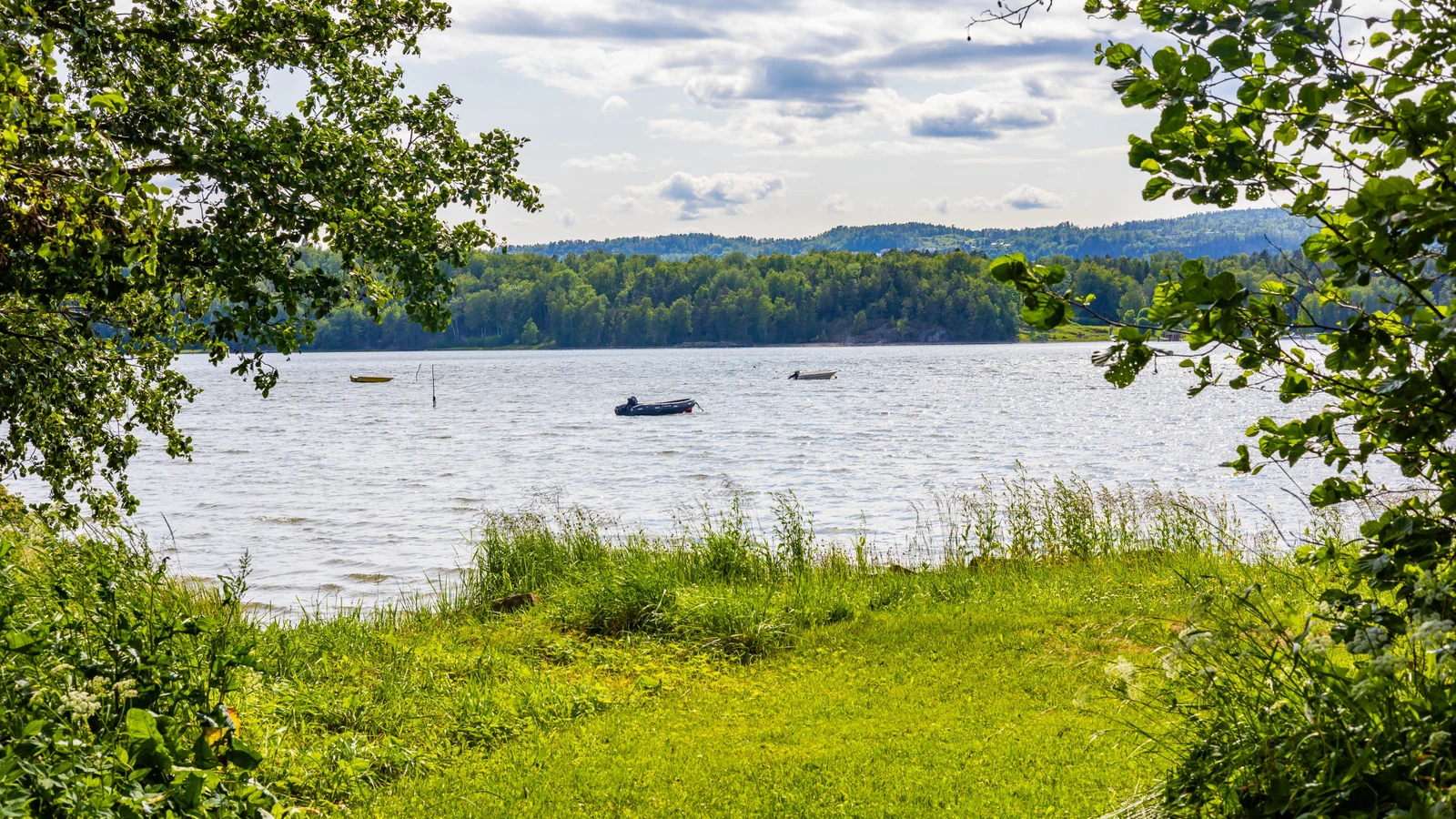 Nærområdet Galleribilde