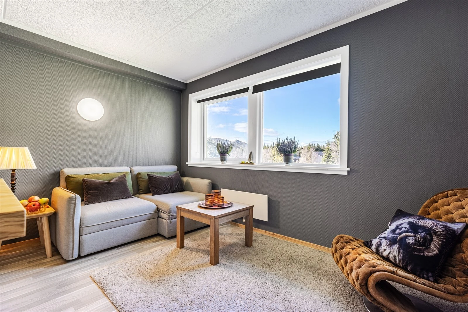 Stue med store vindusflater Galleribilde