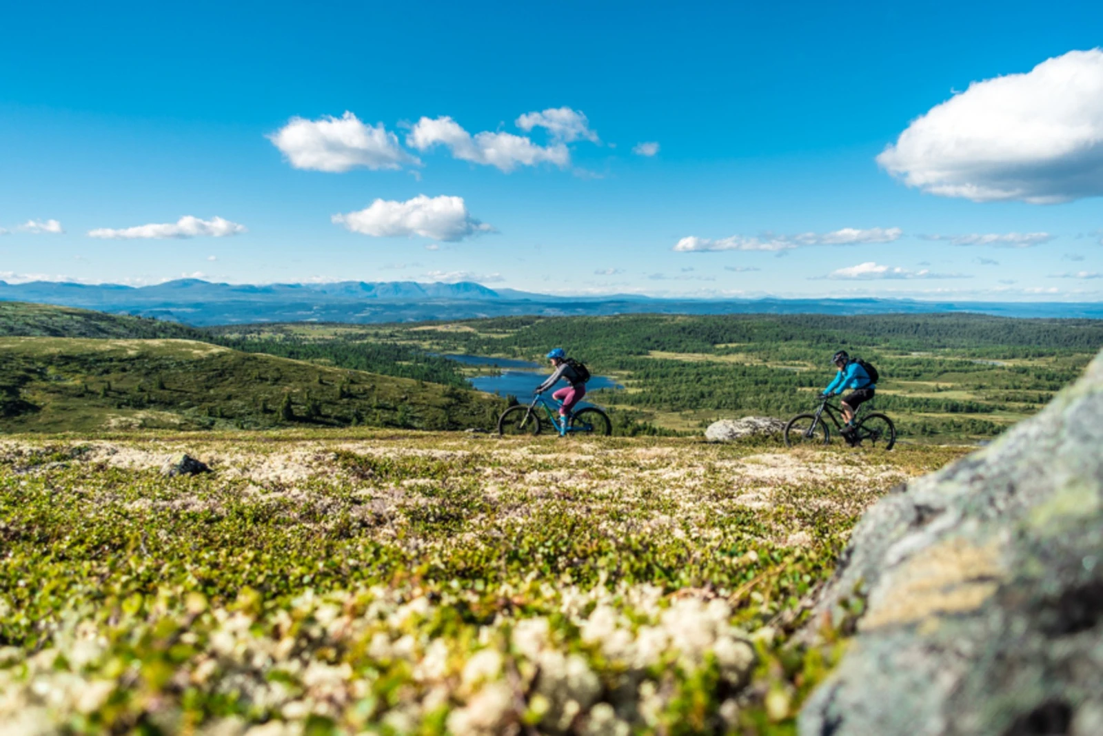 Eller ta sykkelturen innover fjellet og nyt naturen. Galleribilde