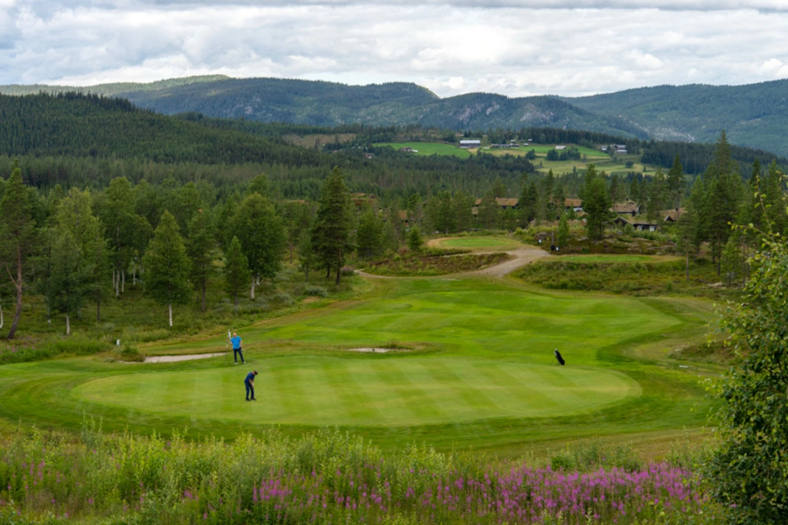 Nesfjellet Golf Galleribilde