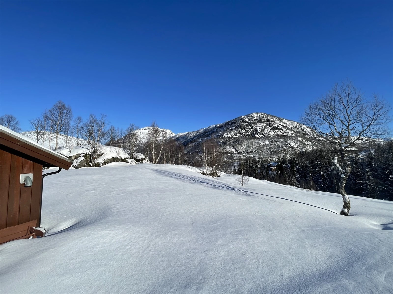 Romslig og barnevennlig rundt hytta Galleribilde