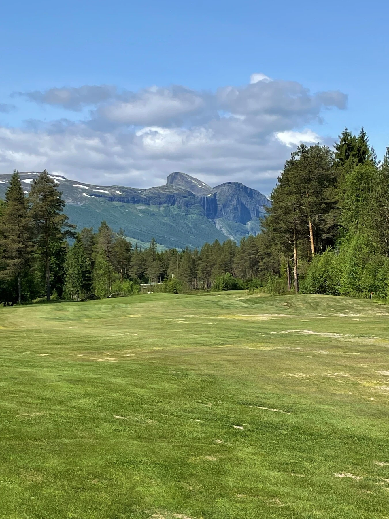 Selgers bilde. Galleribilde