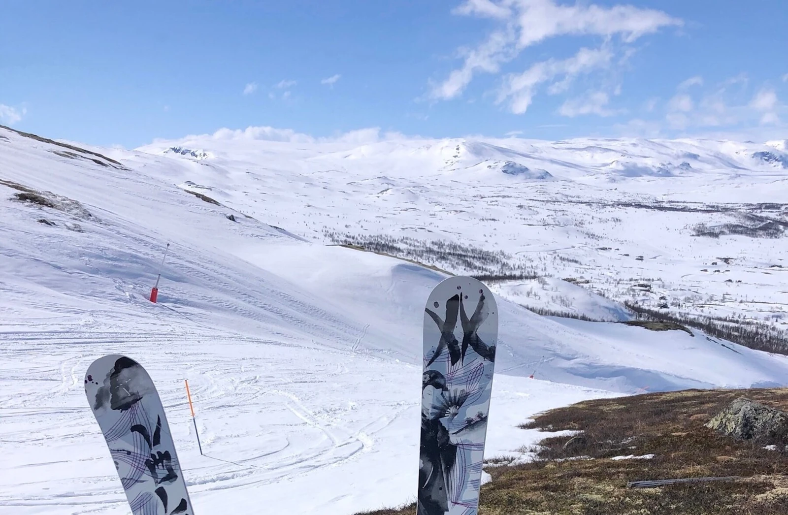 Selgers bilde. Galleribilde