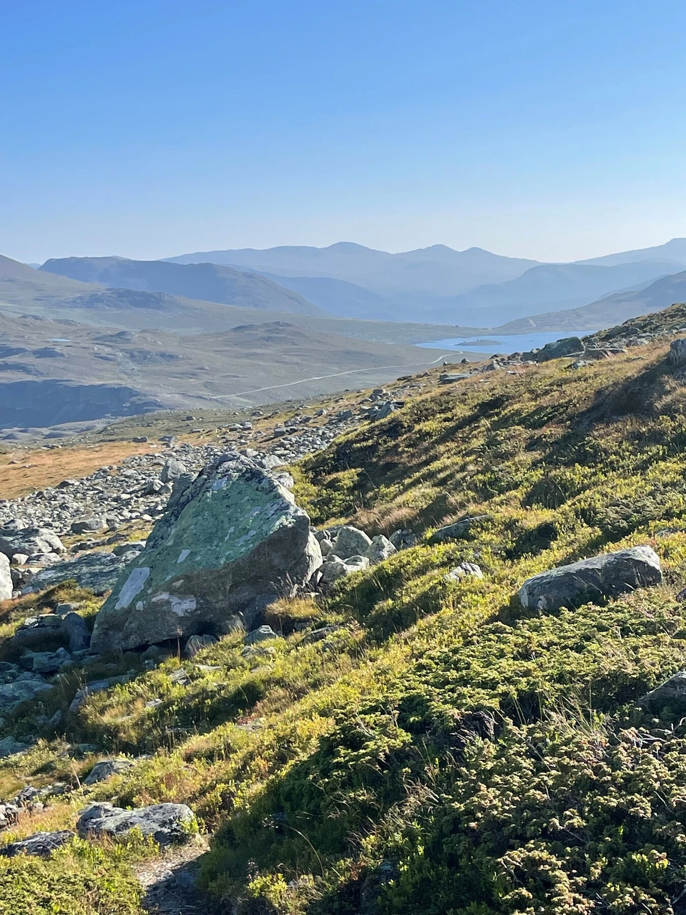 Selgers bilde. Galleribilde