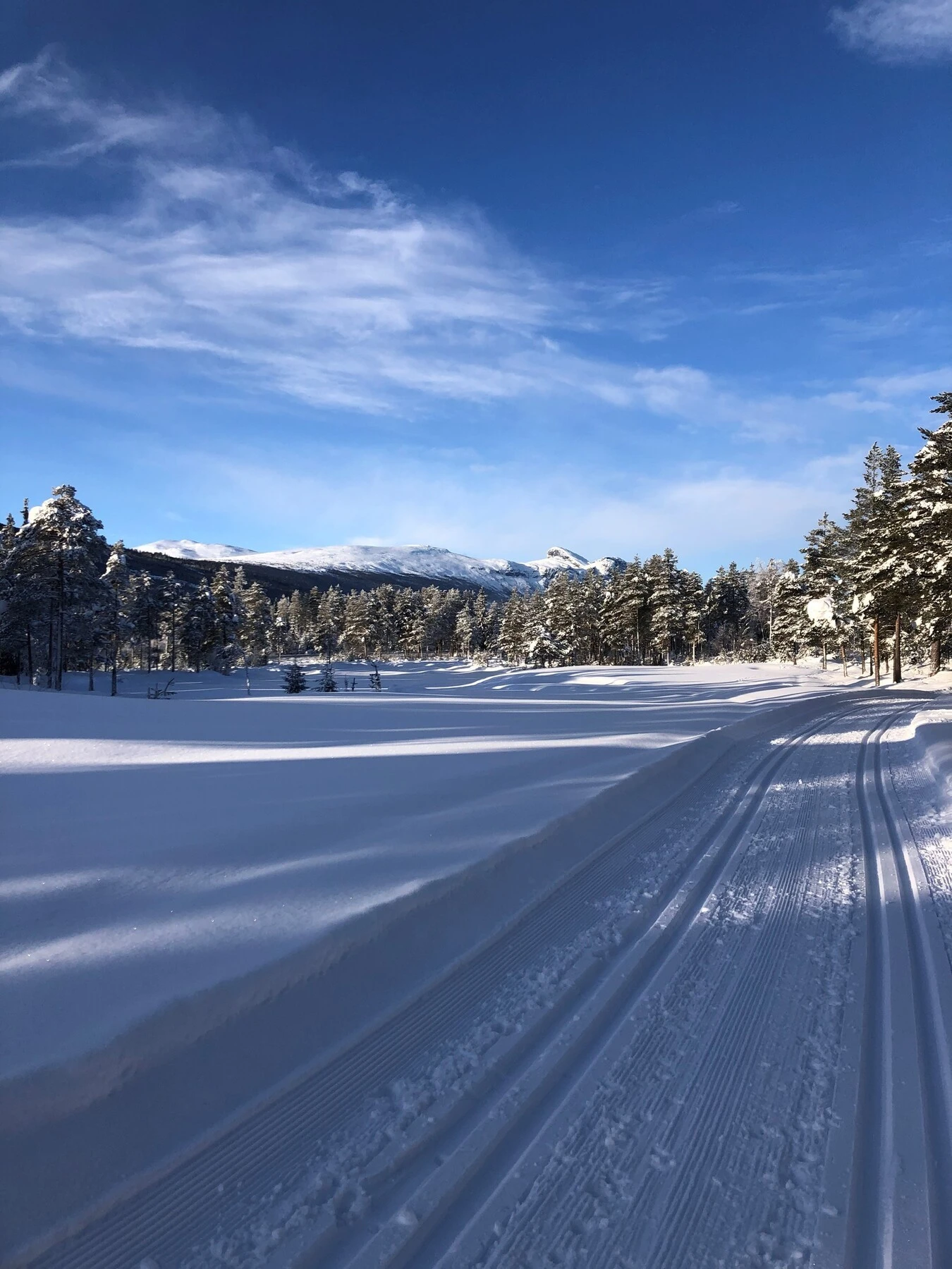 Selgers bilde. Skiløyper på golfbanene. Galleribilde