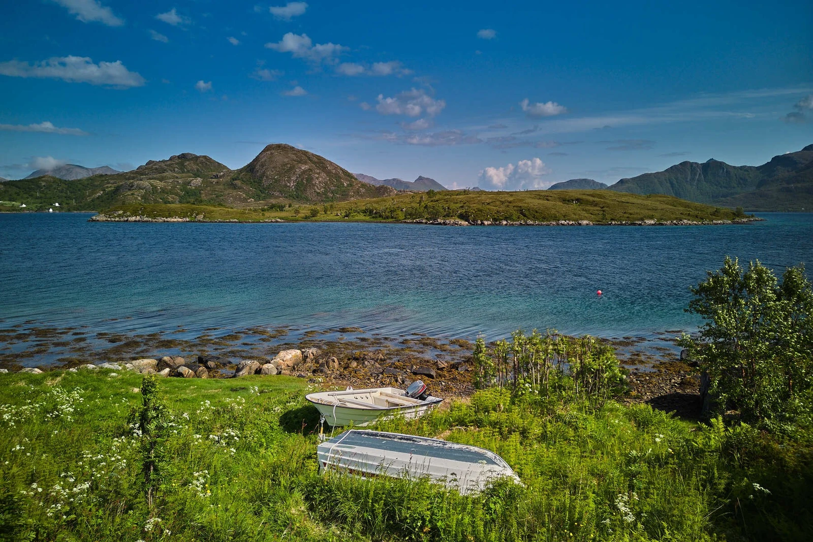 Sommeridyll. Galleribilde