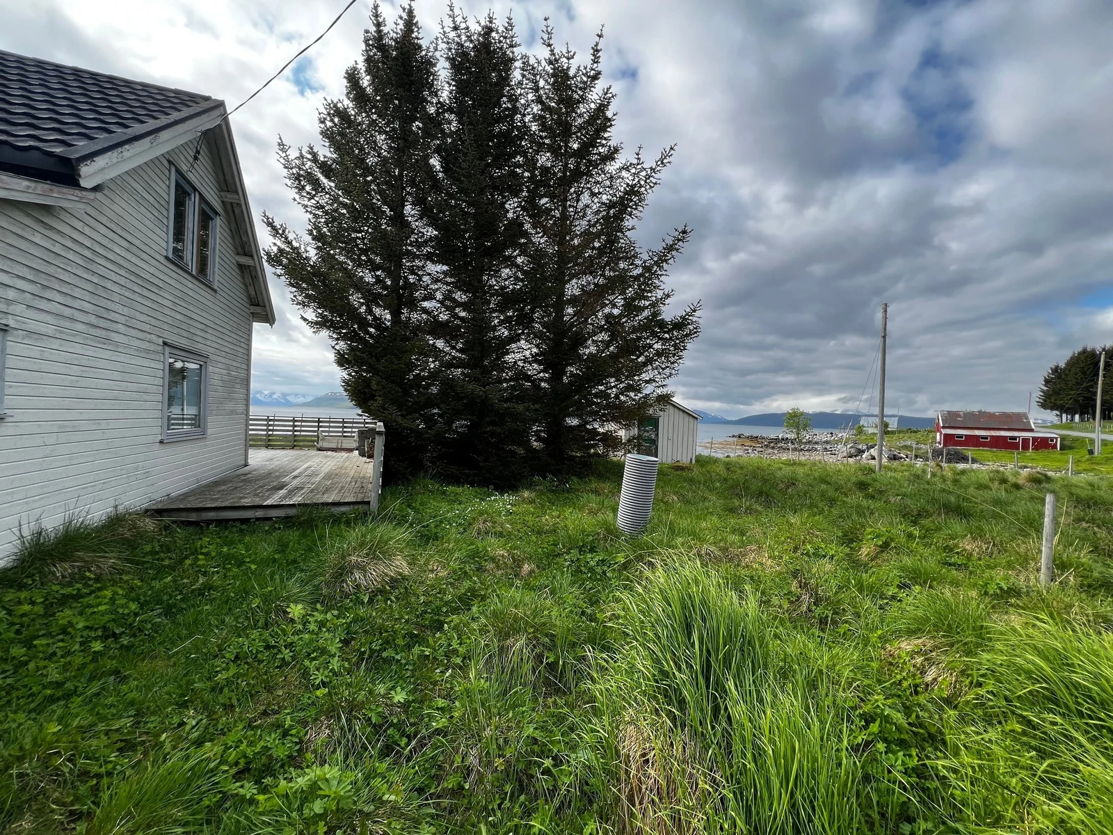 Flott stor tomt Galleribilde