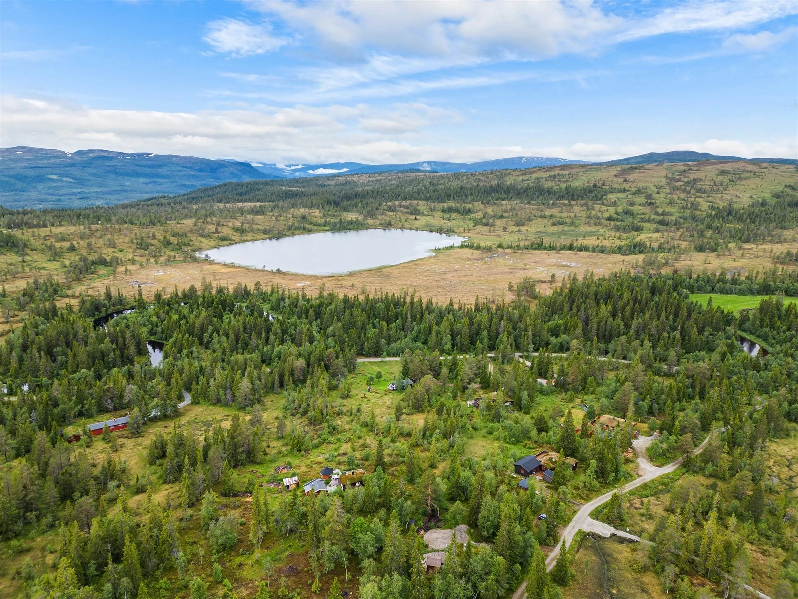 Dronefoto av området. Galleribilde