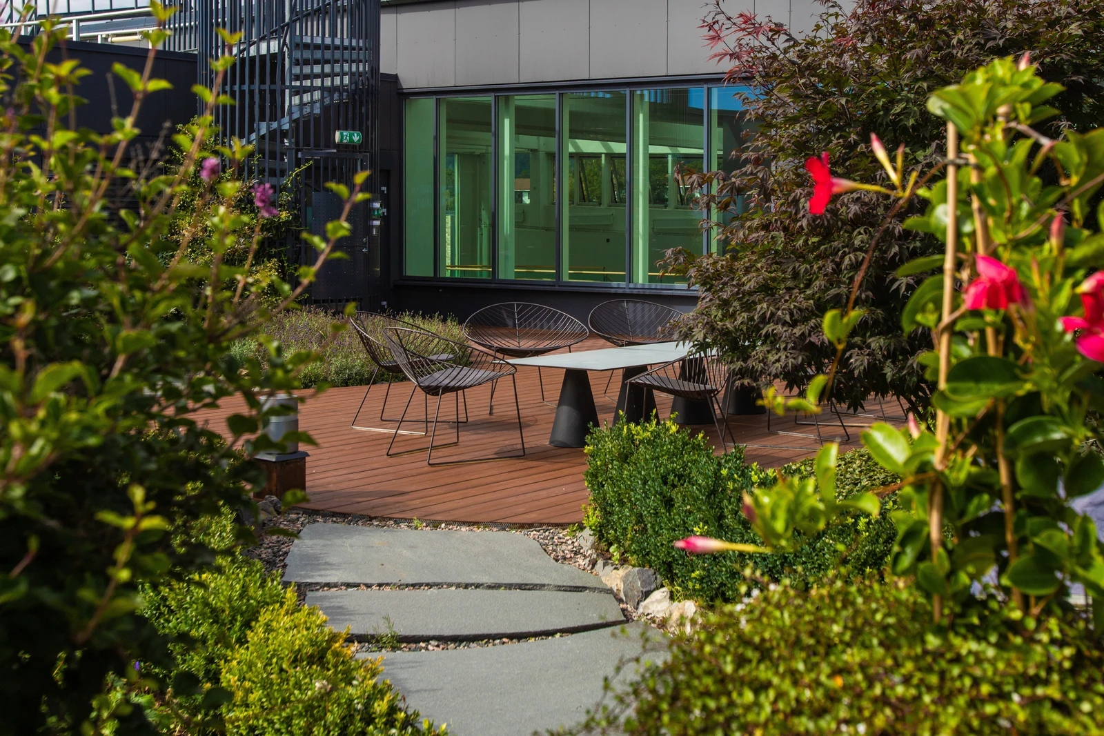 Felles takterrasse Galleribilde