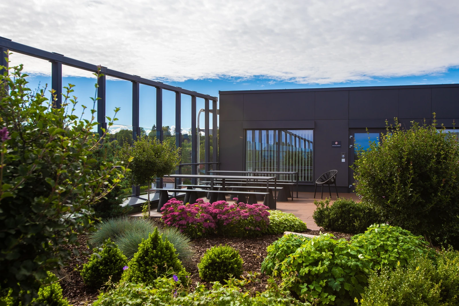 Felles takterrasse Galleribilde