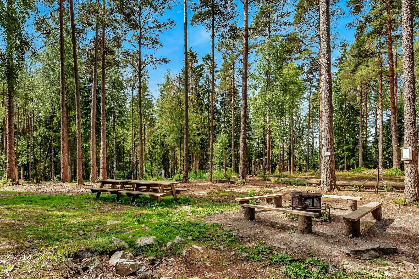 Det er flotte felles uteområder og turområder i nærmiljøet. Galleribilde