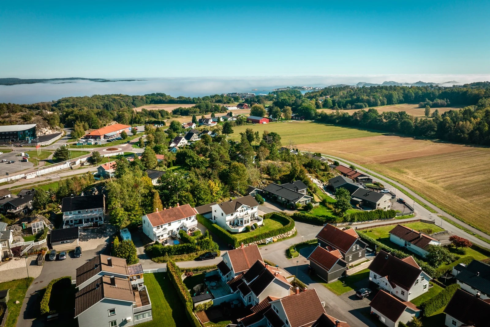 Midt i smørøyet. Galleribilde
