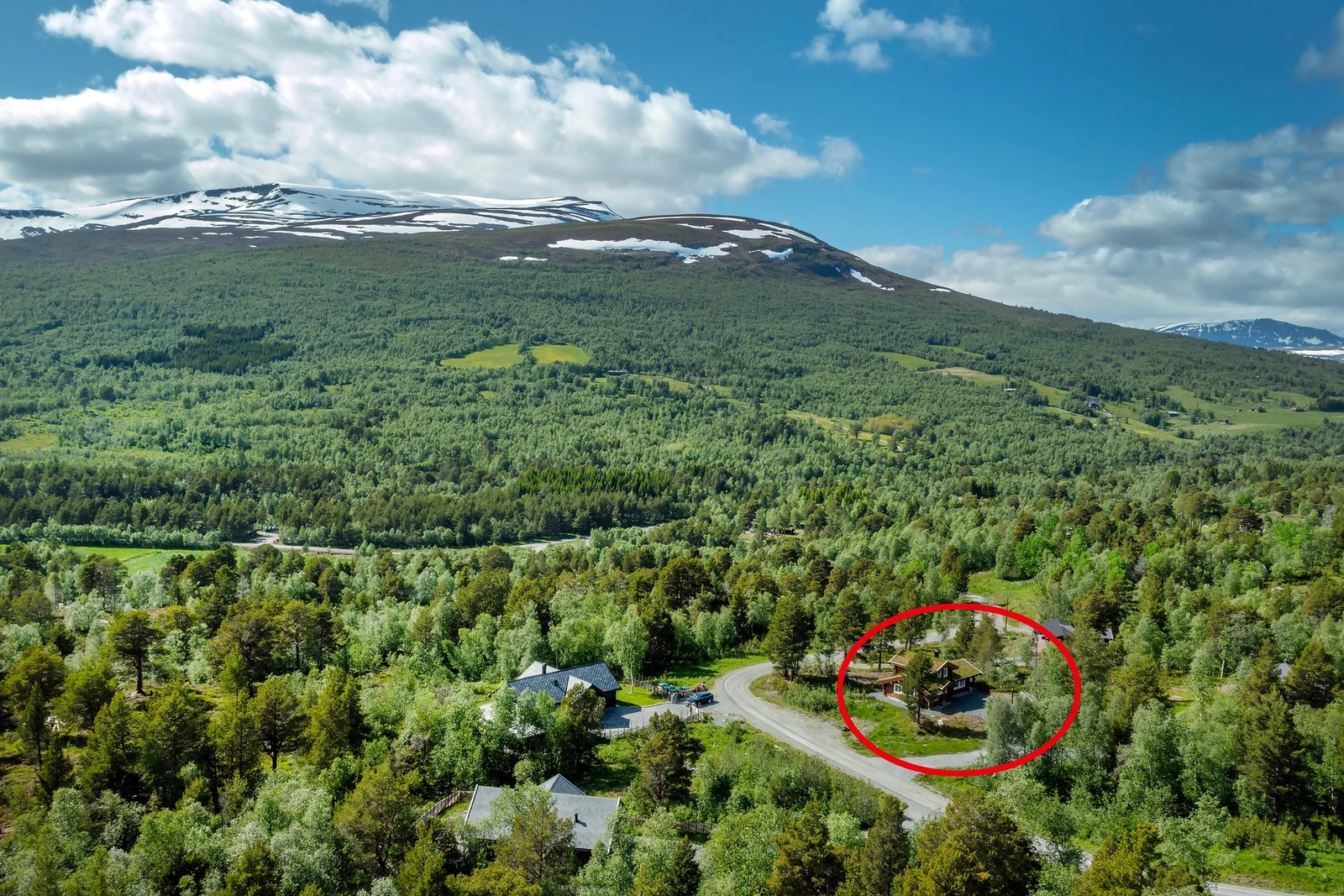 Velkommen til visning! Galleribilde