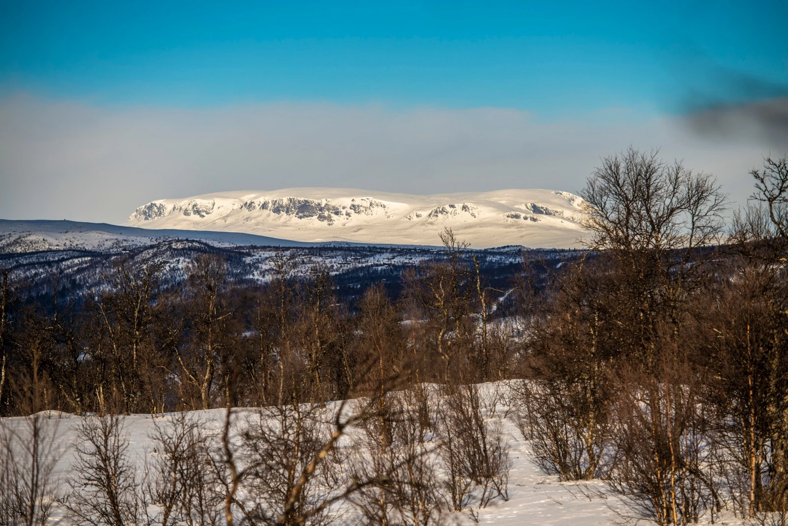 Fin utsikt mot Hallingskarvet fra tomten Galleribilde