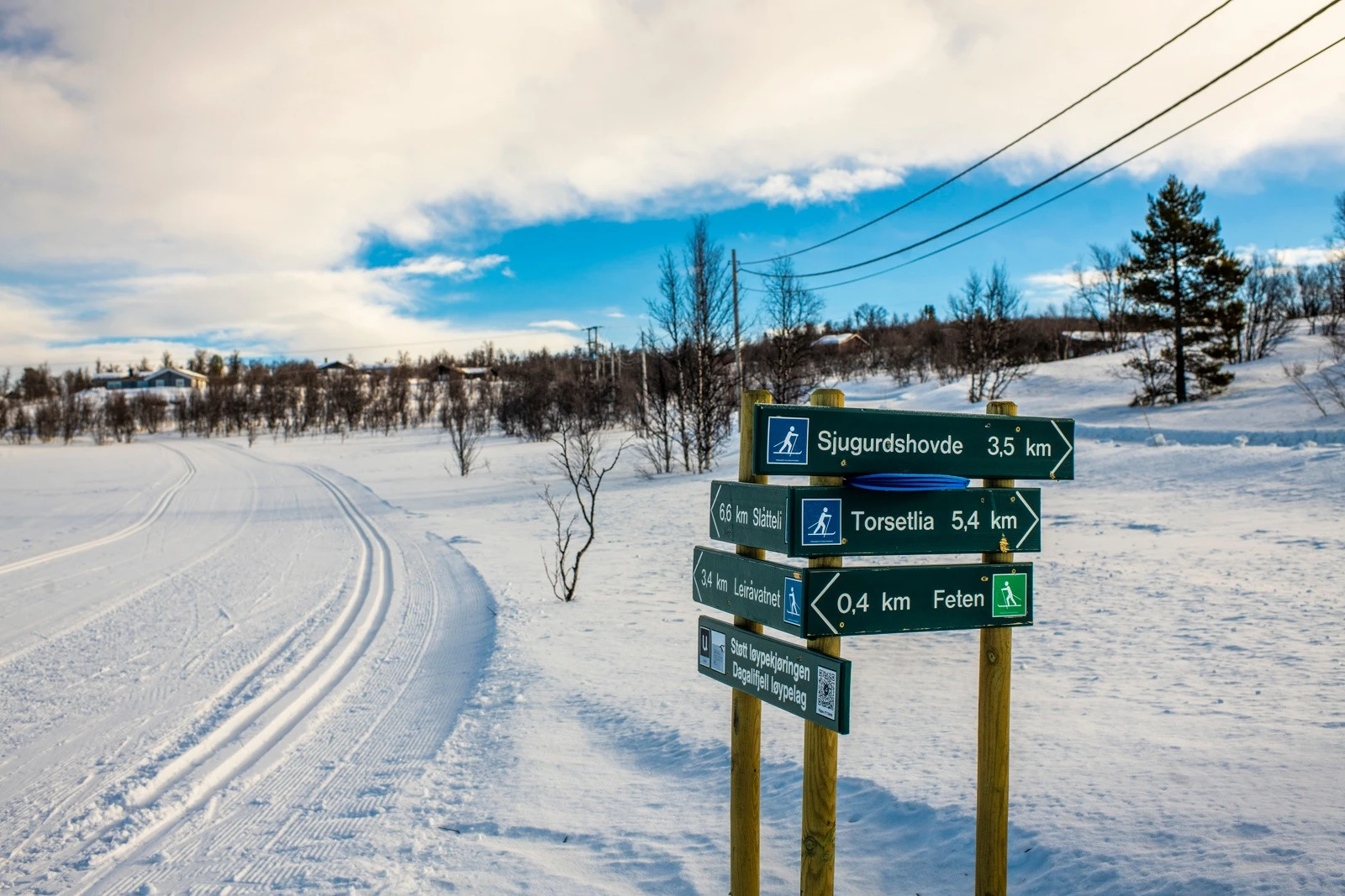 Flotte skiløyper rett i nærheten Galleribilde