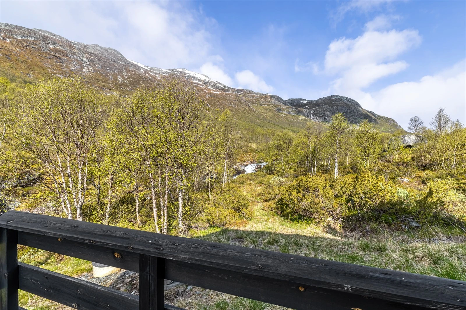 Svarthetta i bakgrunn. Turen kan startes direkte fra hytta. Galleribilde