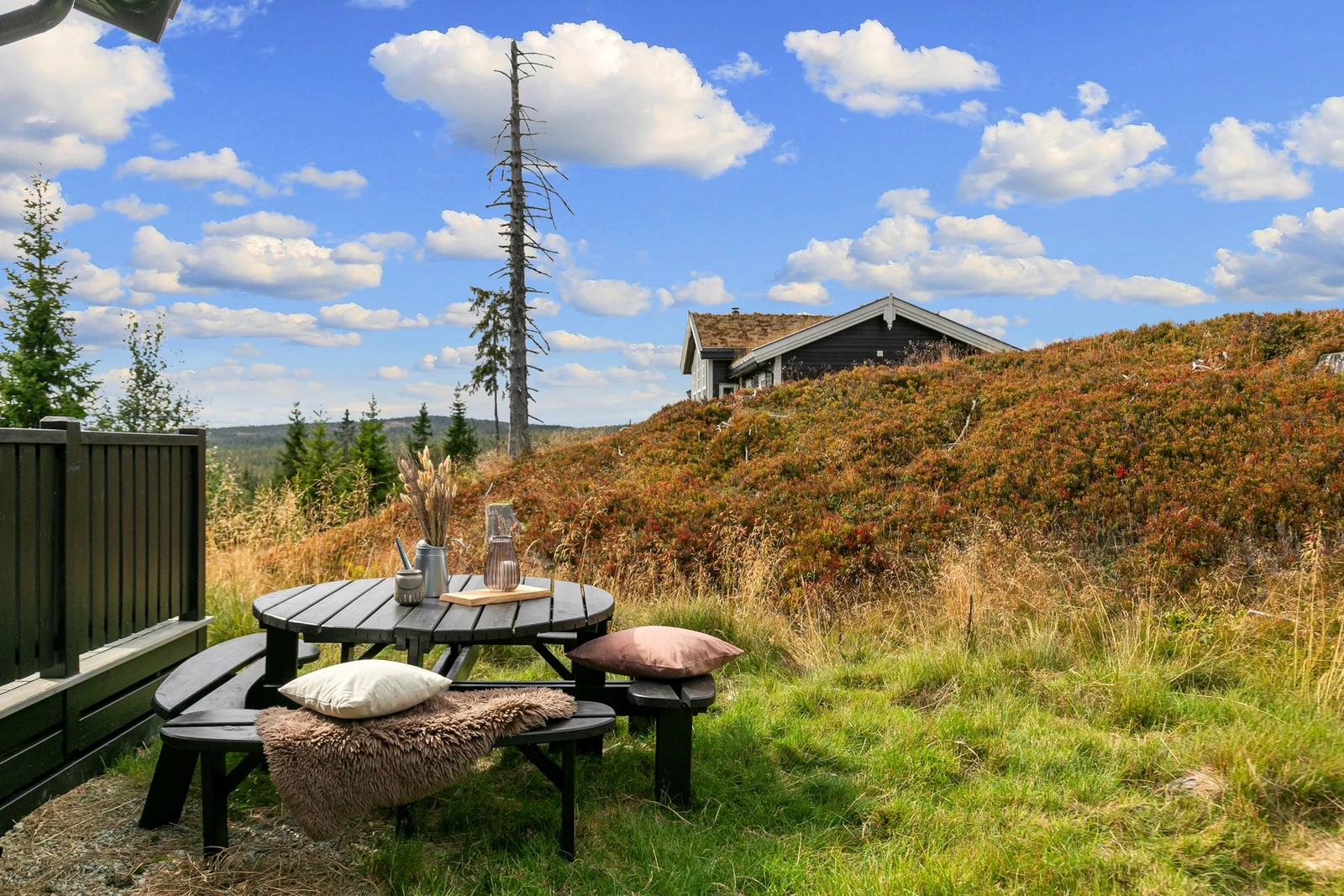 Tomten rundt hytta består av naturtomt som forandrer seg gjennom årstidene. Galleribilde