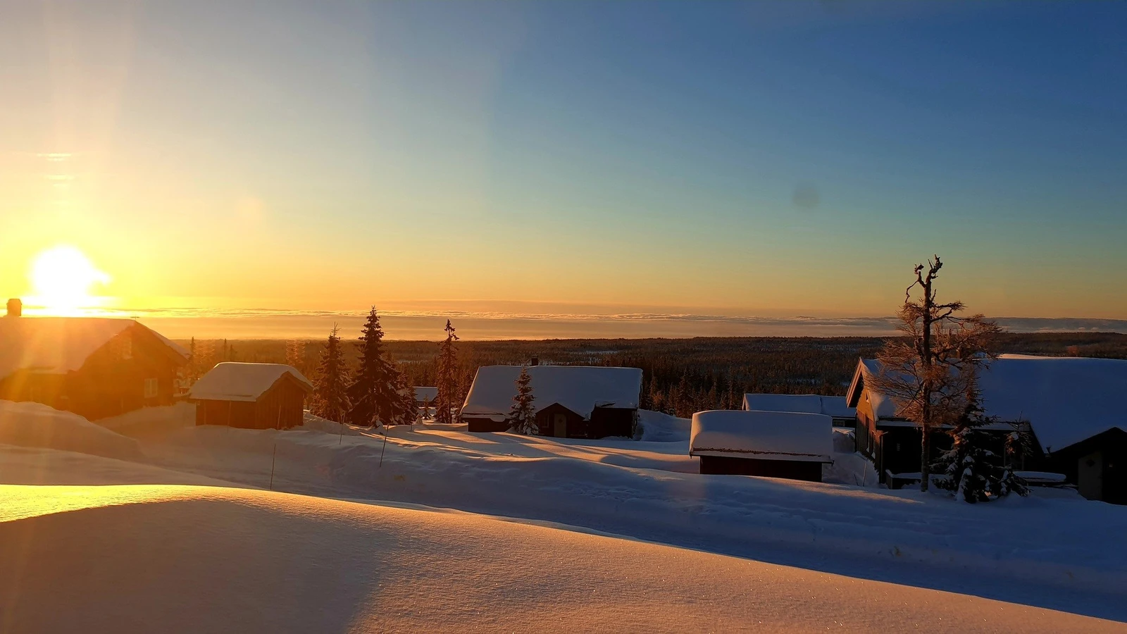 Selgers bilde av solnedgang på vinteren. Galleribilde