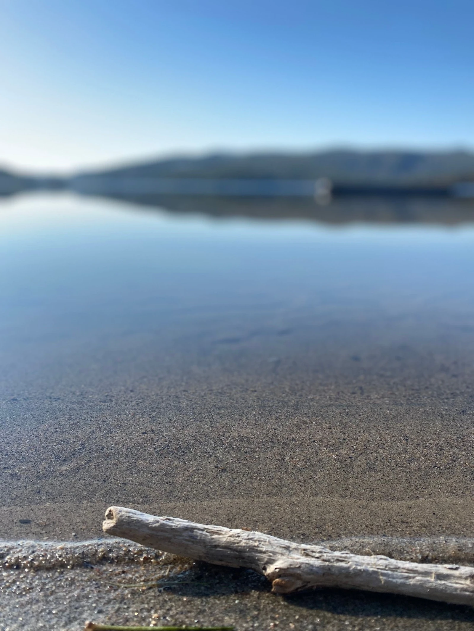Vannkanten ved felles badeplass Galleribilde