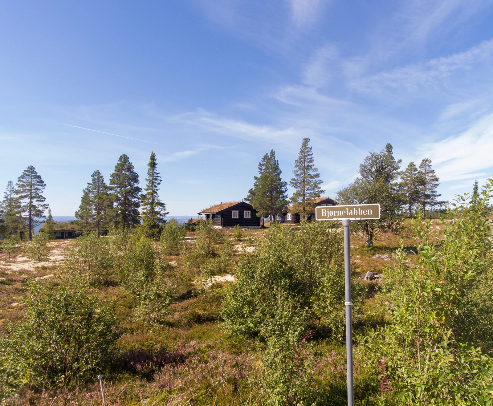 Det er ingen byggeklausul knyttet til tomtene, noe som betyr at du står fritt til å velge byggmester og hytteleverandør Galleribilde