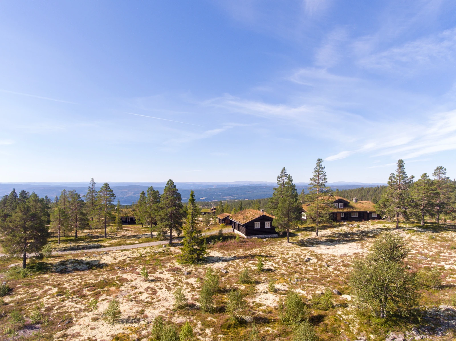 Renåfjellet er et etablert tomteområdet med flere ledige kvalitetstomter Galleribilde