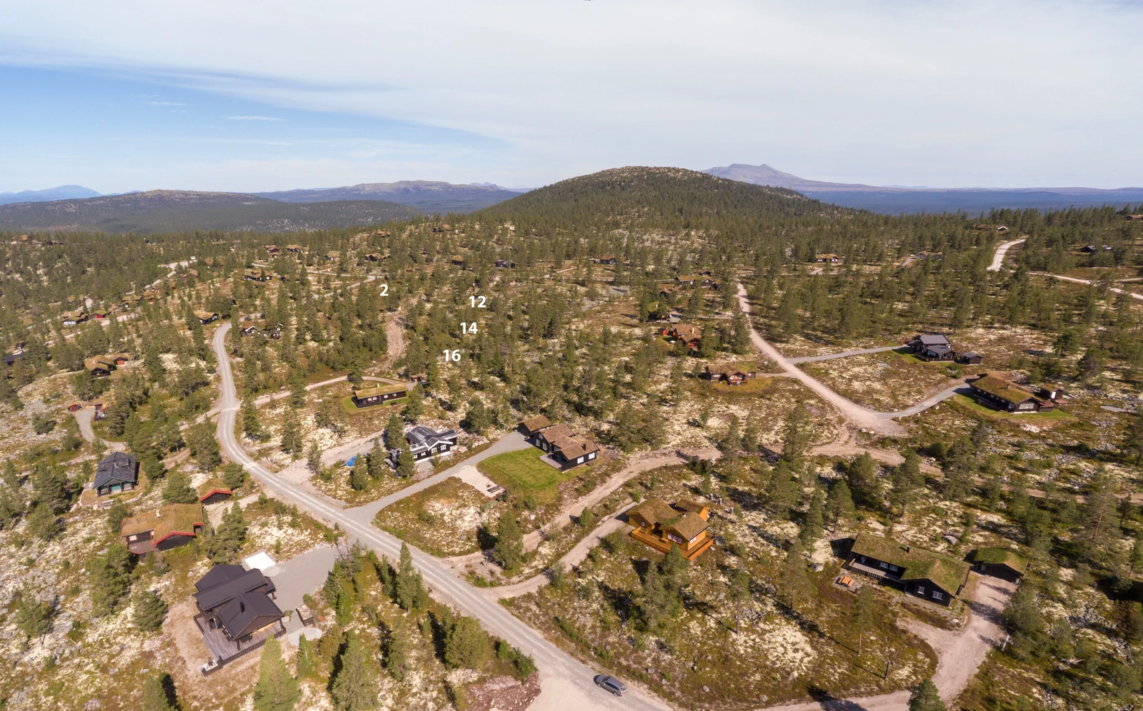 Bjørnelabben Galleribilde