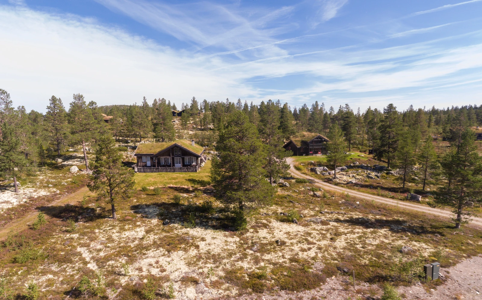 Renåfjellveien Galleribilde