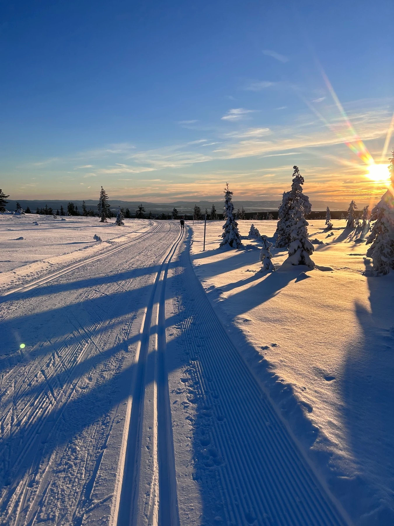 Selgers bilde fra skitur - området har over 300 km med preparerte skiløyper på Hedmarksvidda. Galleribilde