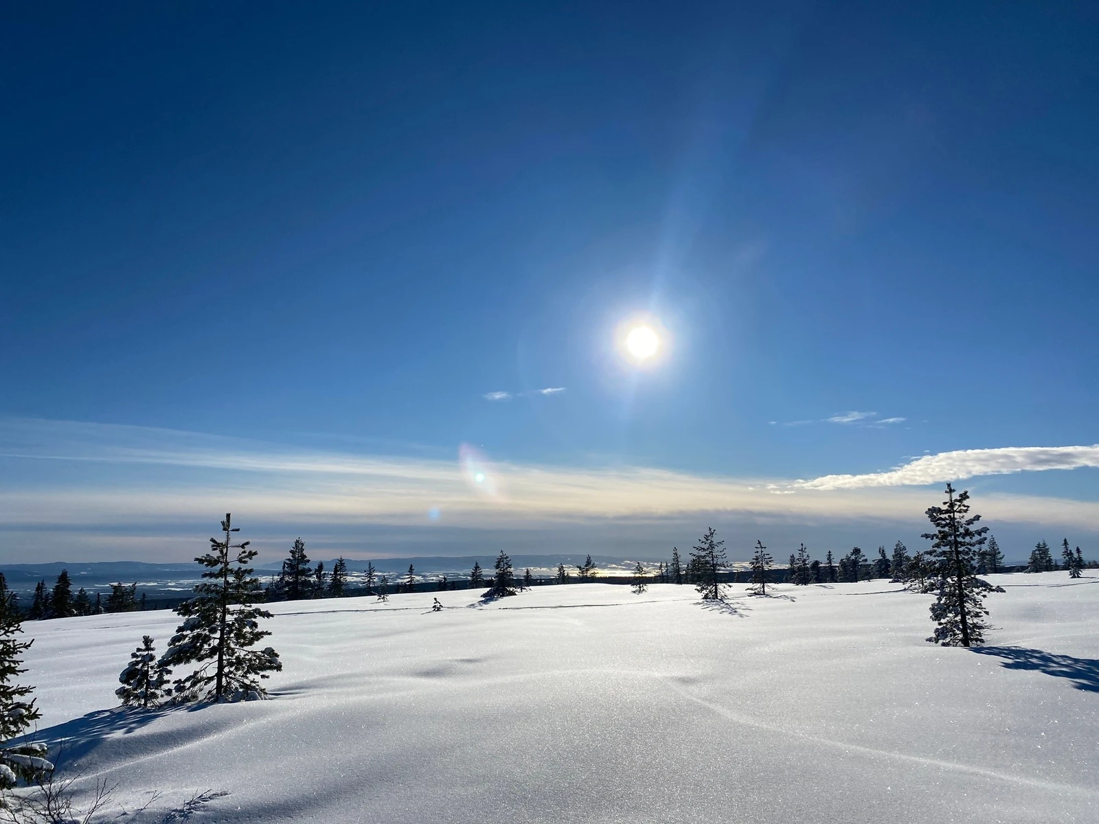 Selgers bilde fra skitur i nydelige solforhold. Galleribilde