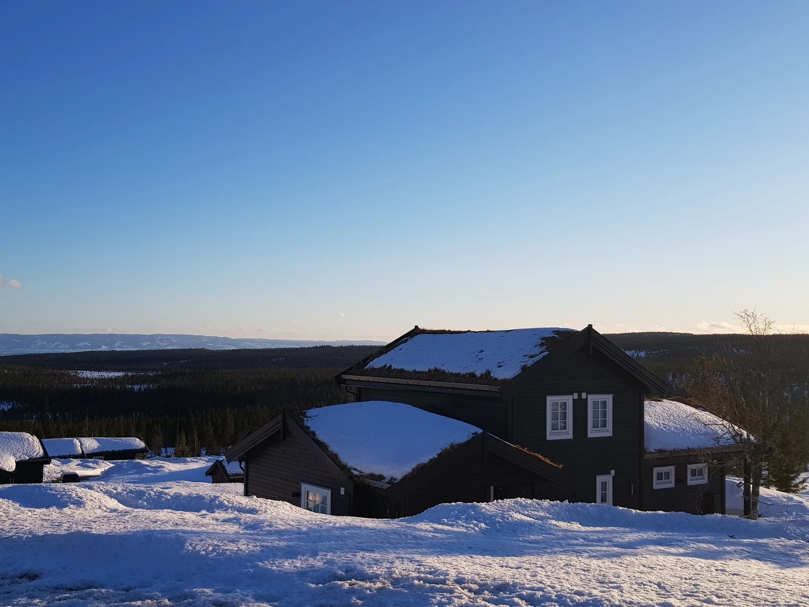 Selgers vinterbilde av hytta. Galleribilde