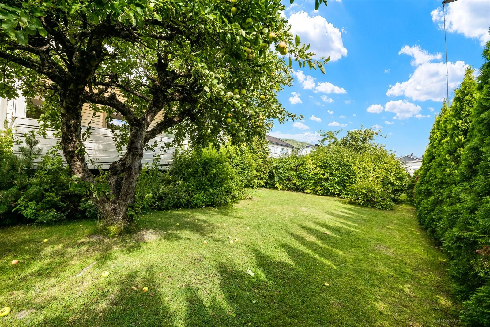 Hjørnetomt/ hage