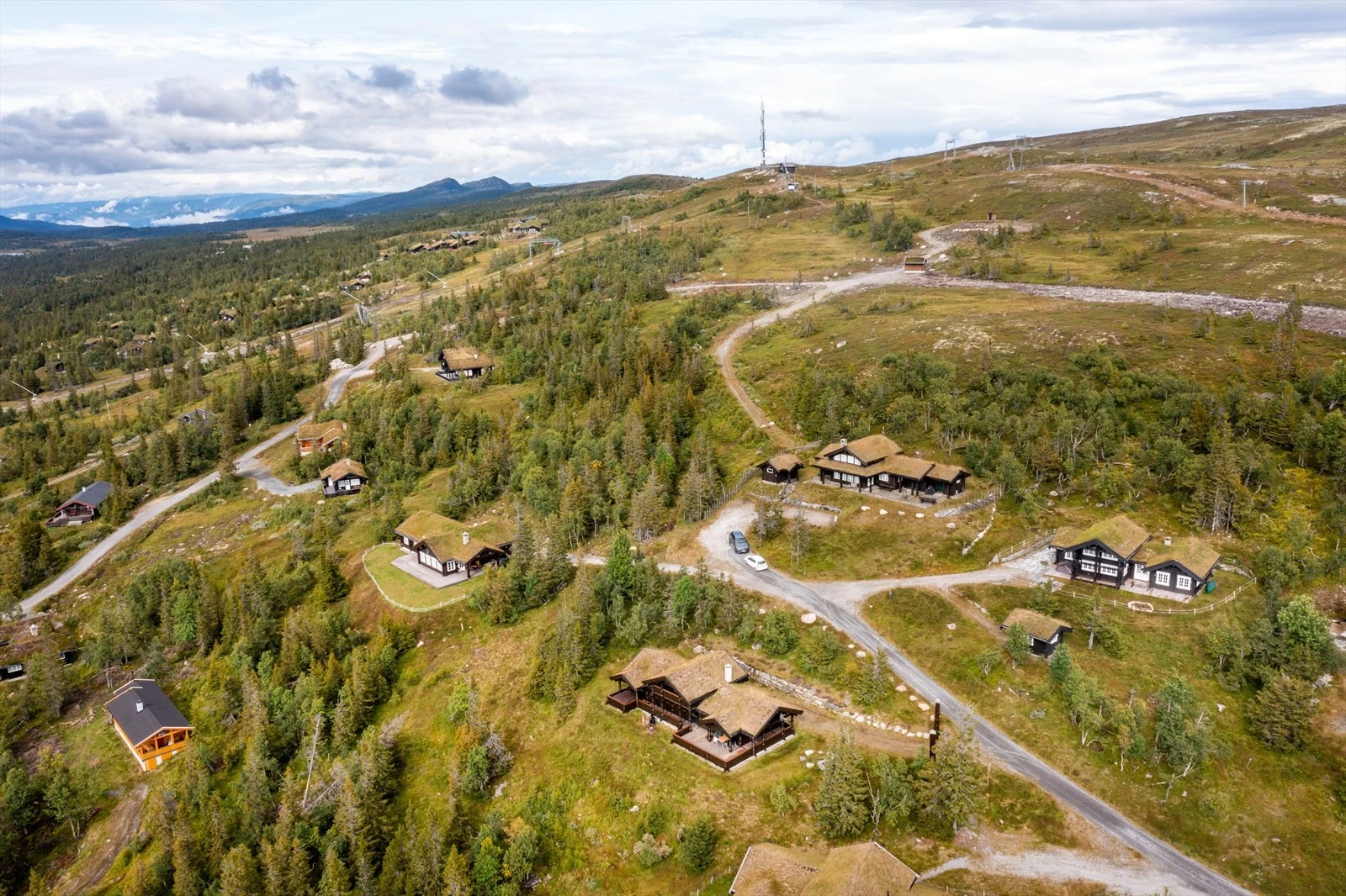 Velkommen til en hyggelig visning! Galleribilde