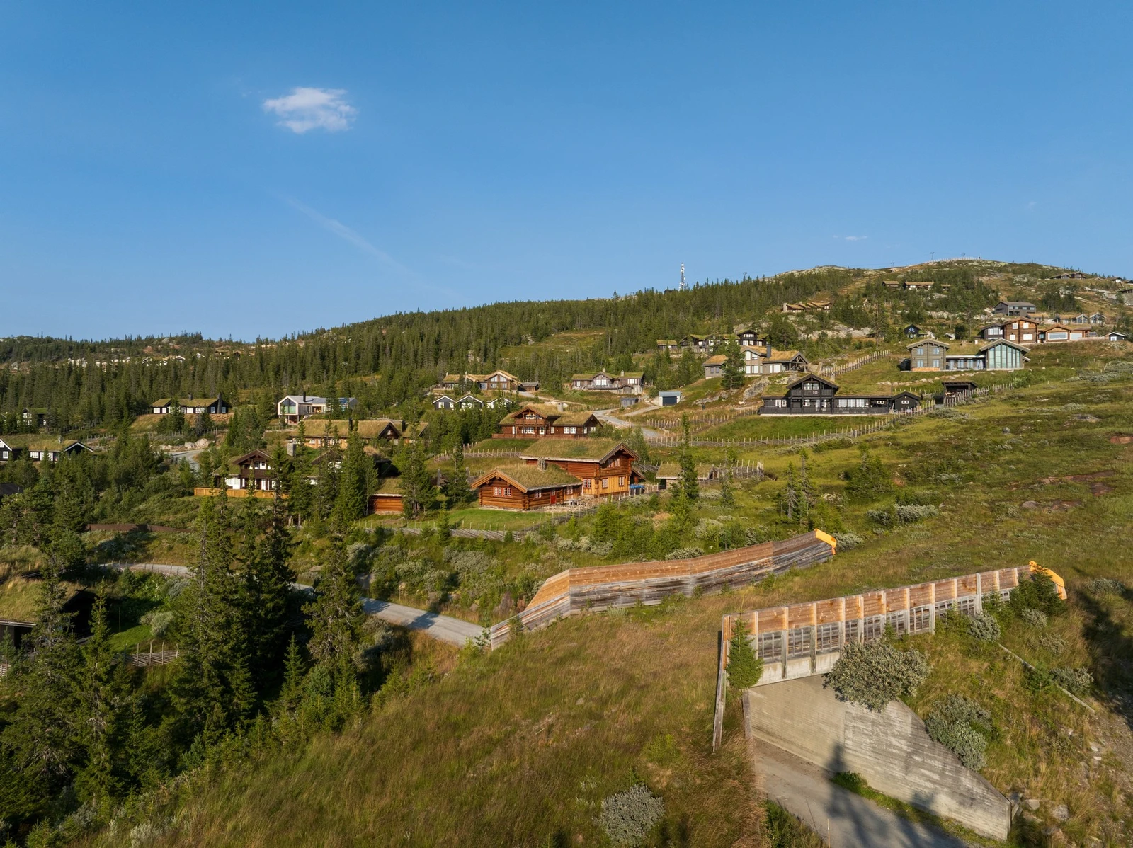 Hyttetunet og bakken. Galleribilde