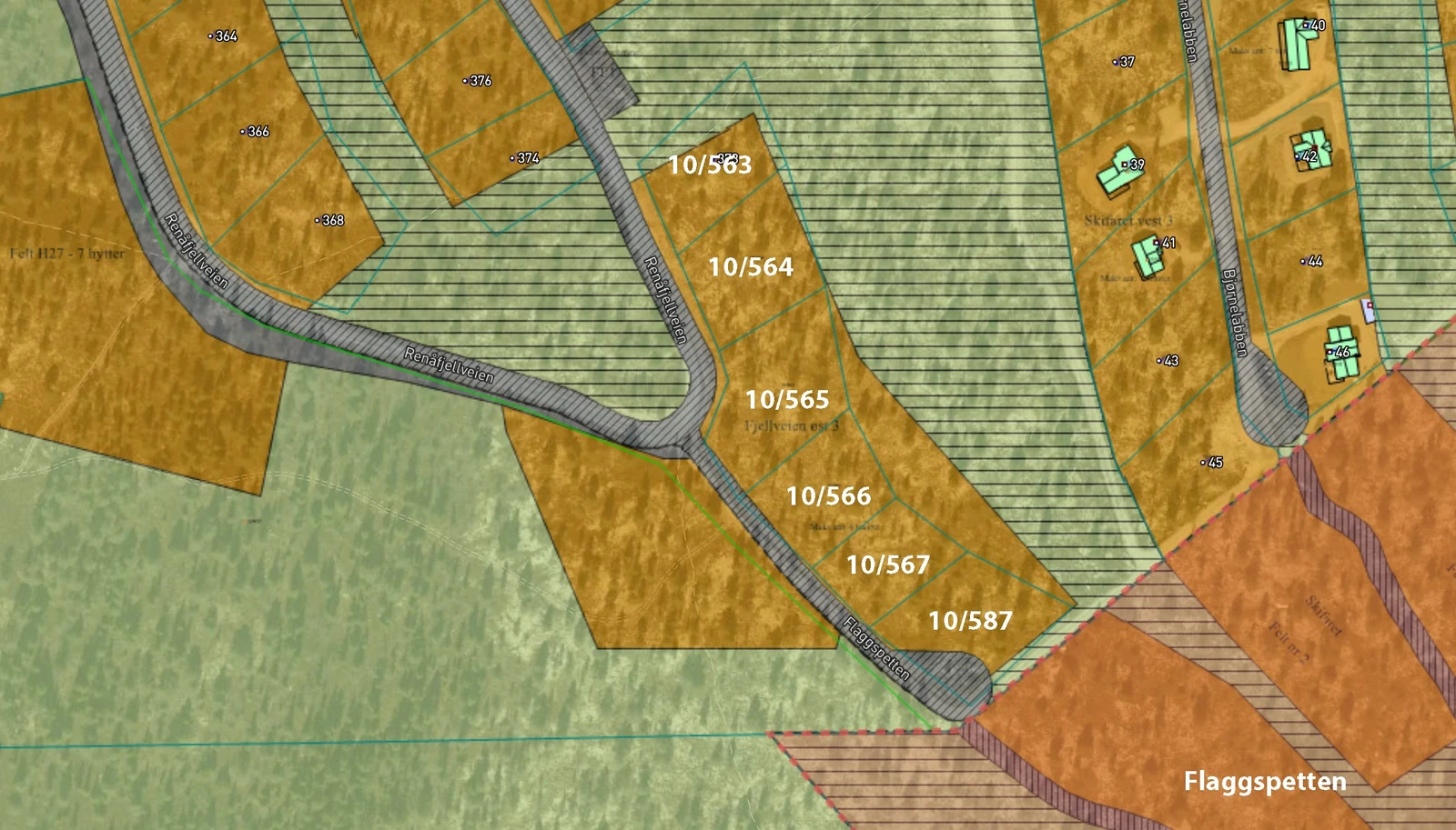 Flaggspetten Galleribilde