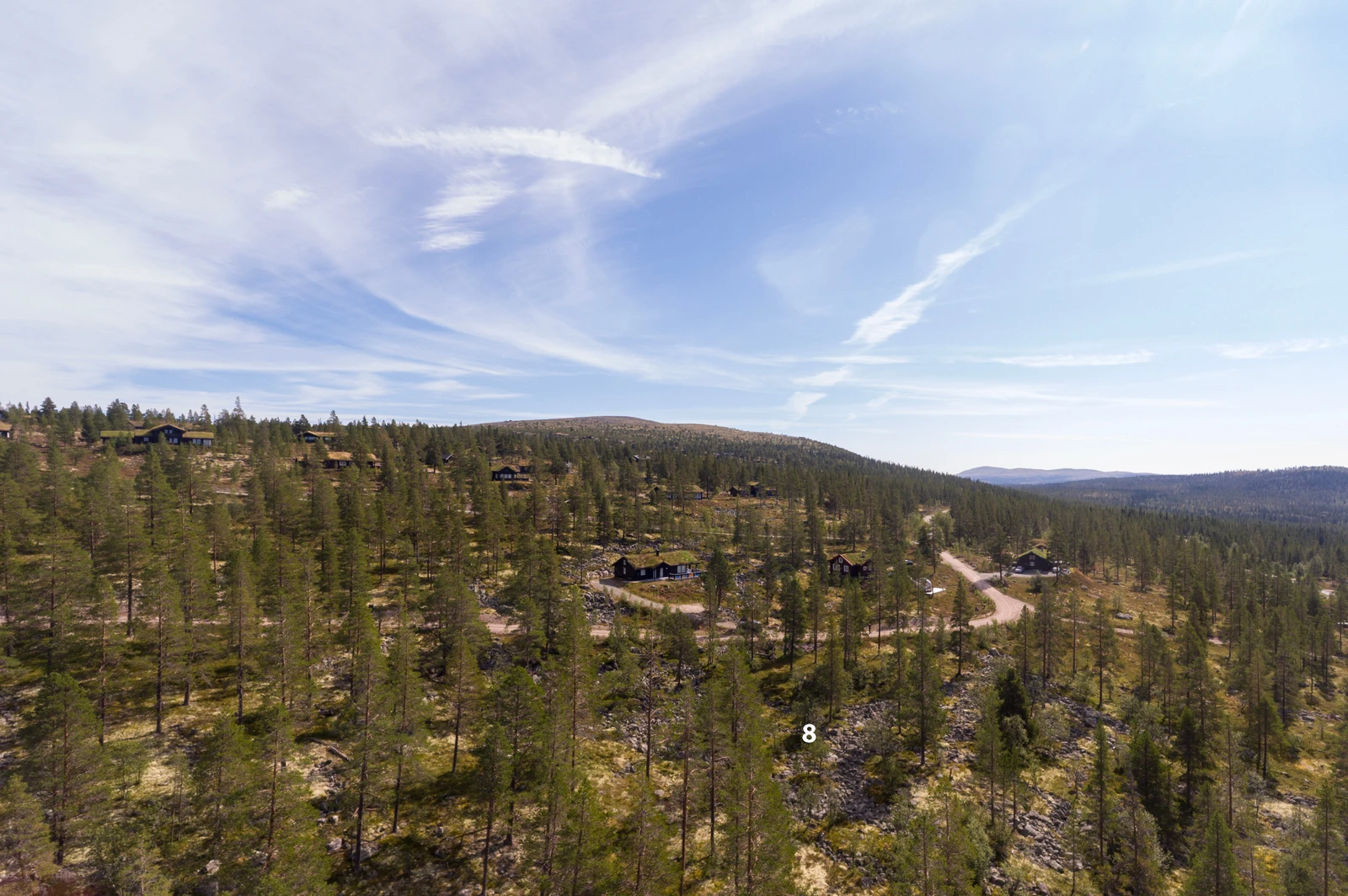 Harestubben Galleribilde