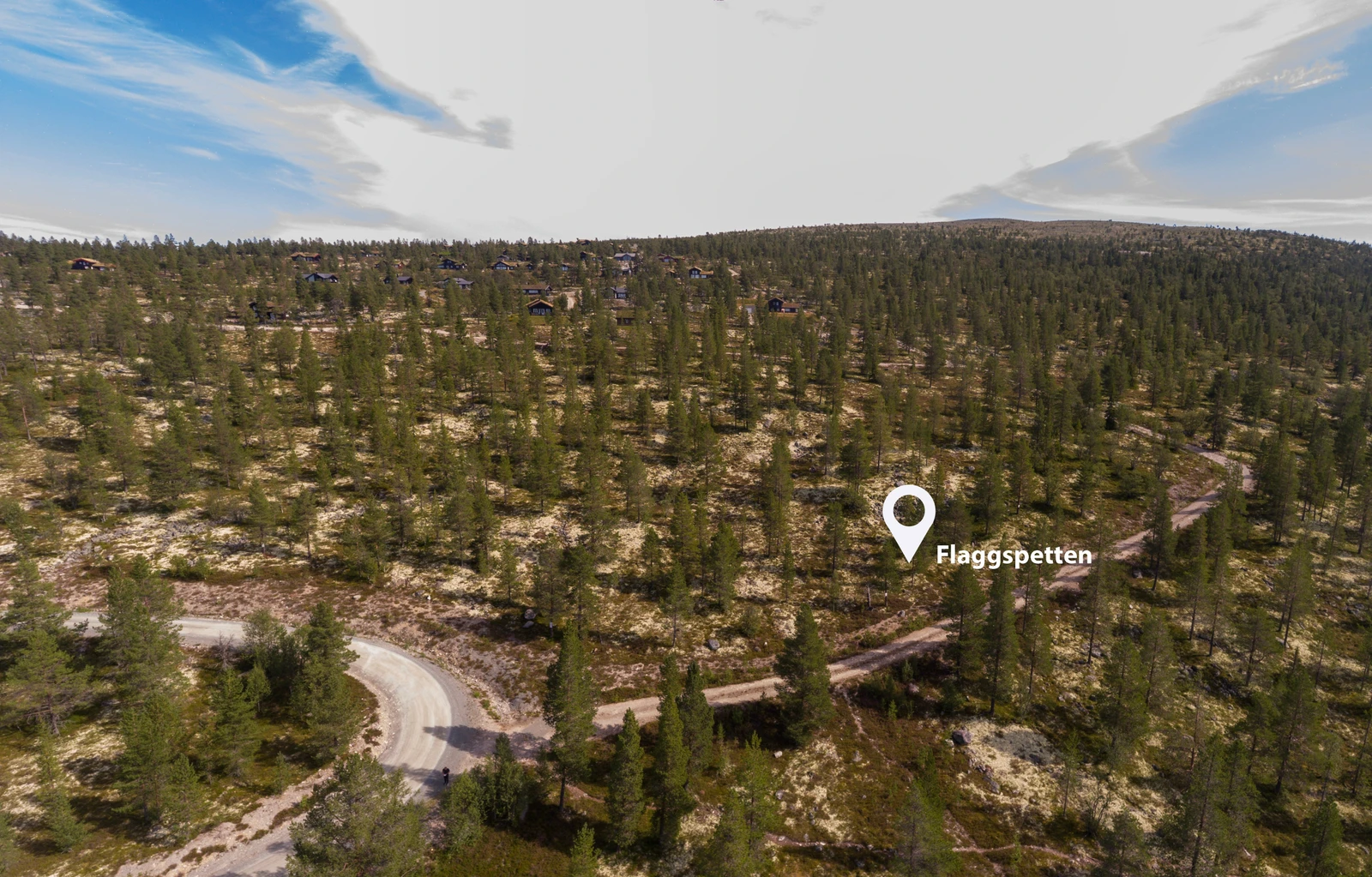 Flaggspetten Galleribilde