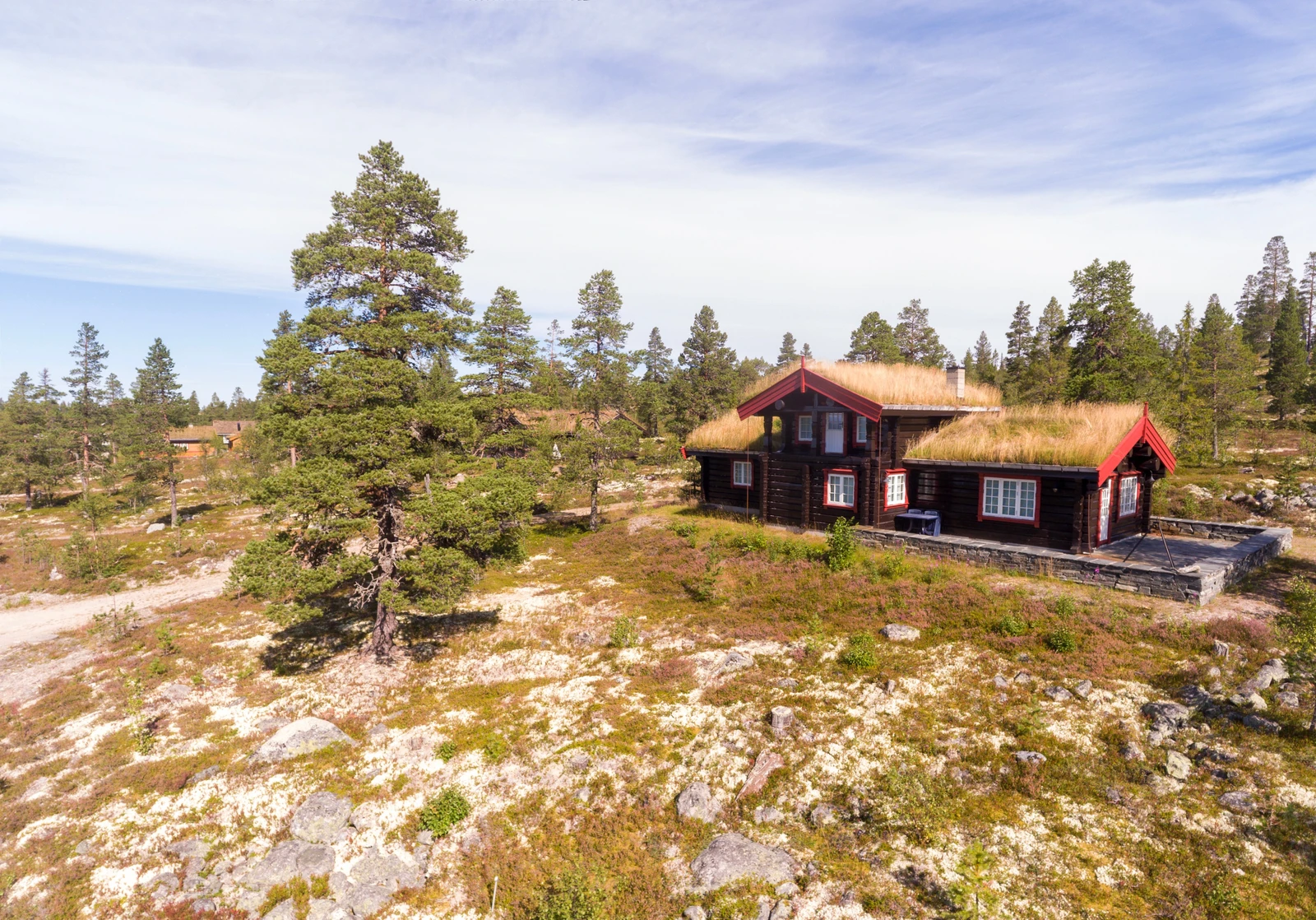 Bjørnelabben Galleribilde