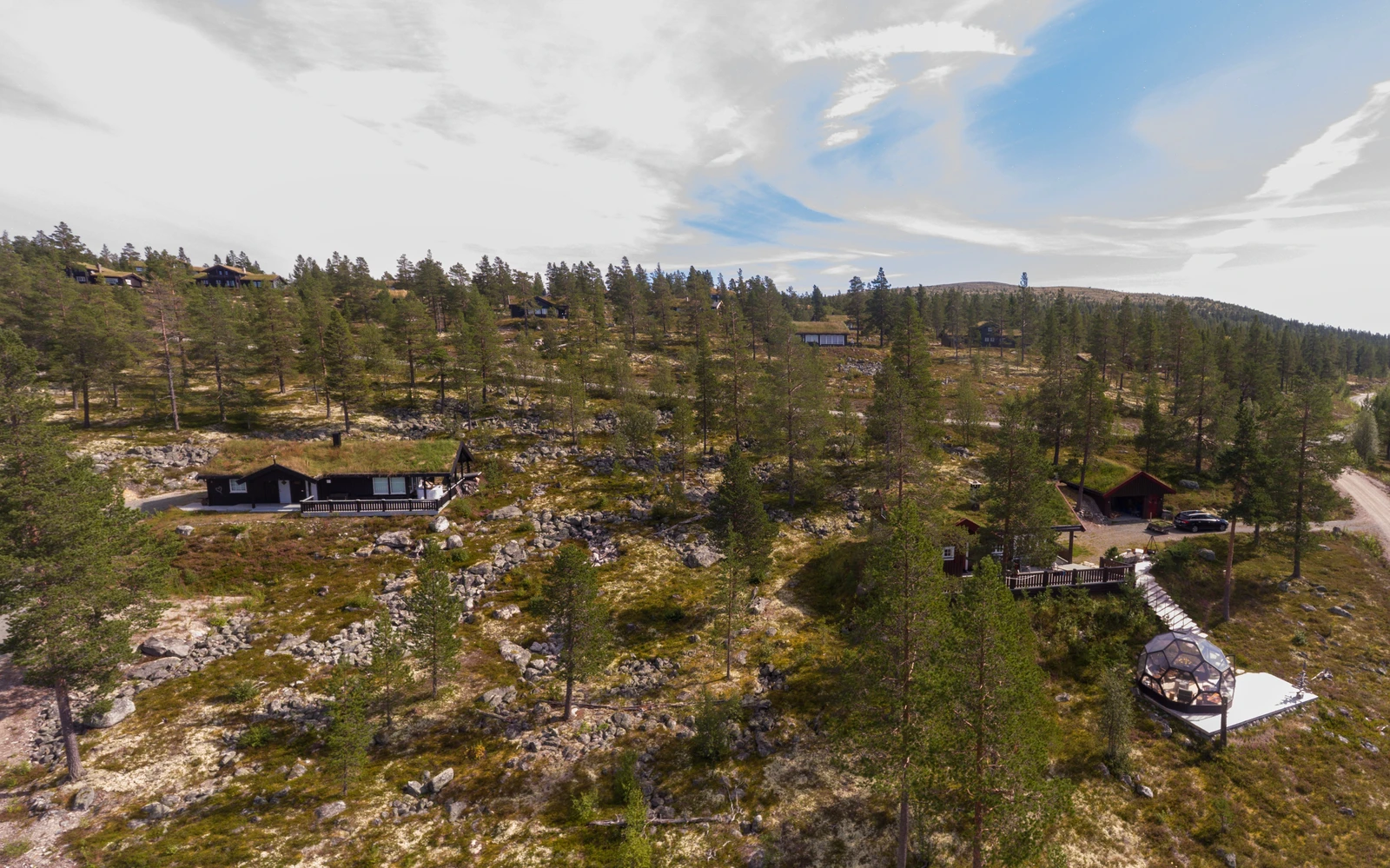 Harestubben Galleribilde