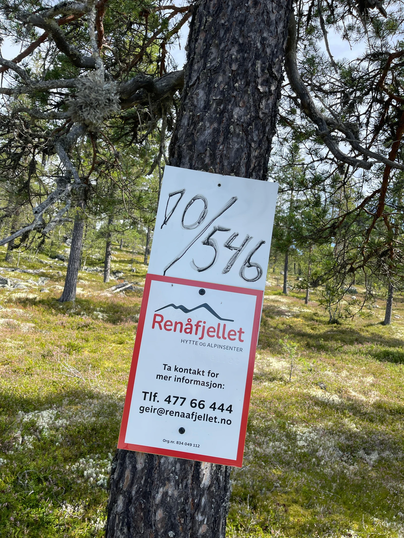 De fleste tomtene er godt merket for de som ønsker å gå på egenvisning Galleribilde