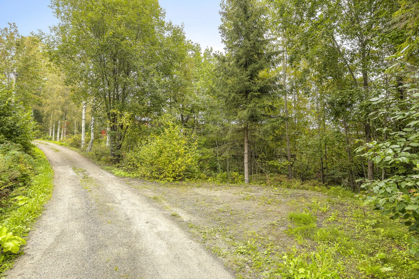 Parkering på nedsiden av hytta. Galleribilde